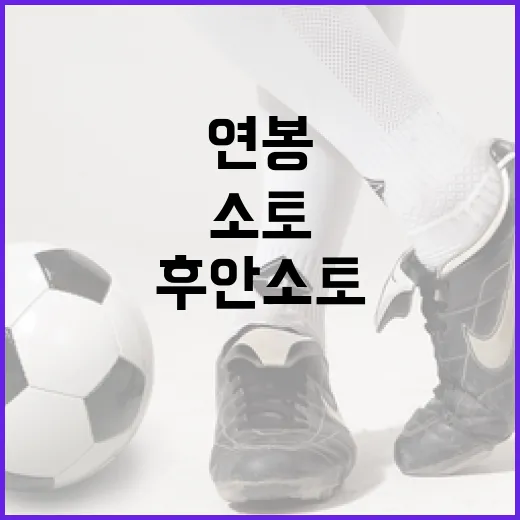 후안 소토 연봉을 이해하고 활용하는 방법 - 요약