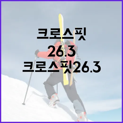 크로스핏 26.3을 효과적으로 준비하는 방법 - 요약