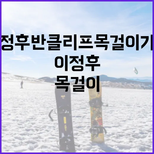 이정후 반클리프 목걸이 가격을 알리는 방법 - 요약