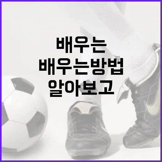 고우석을 알아보고 그를 통해 배우는 방법 - 요약