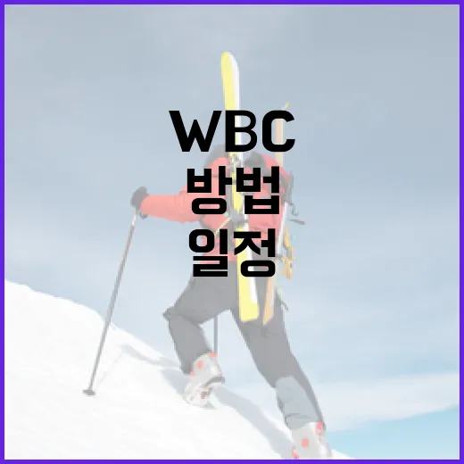 WBC 일정을 쉽게 확인하는 방법 - 요약