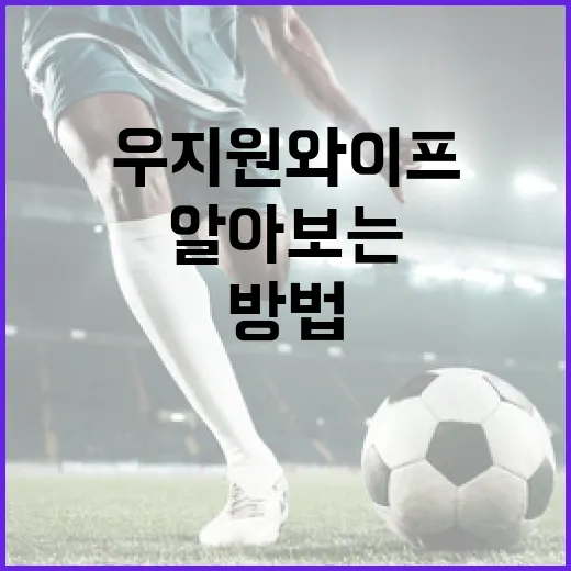 우지원 와이프에 대해 알아보는 방법 - 요약