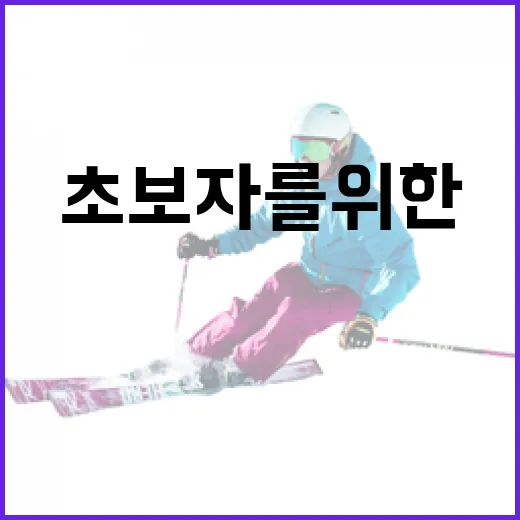 WBC를 이해하는 방법: 초보자를 위한 가이드 - 요약