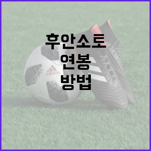 후안 소토의 연봉을 이해하는 방법 - 요약