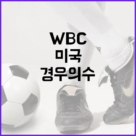 WBC에서 미국의 경우의 수 이해하기 - 요약