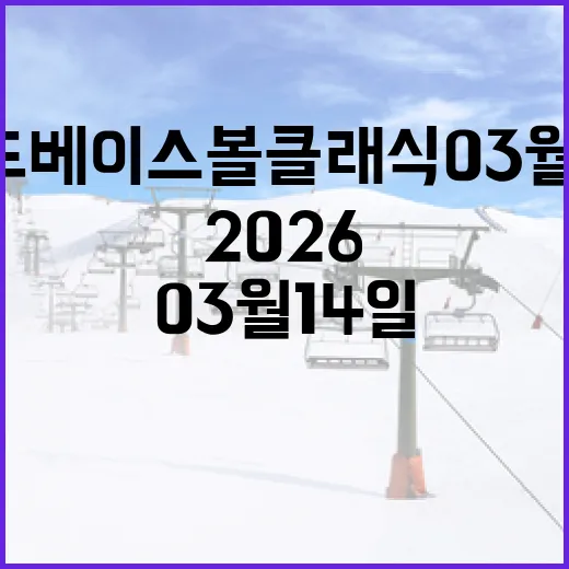 2026 월드 베이스볼 클래식 03월 14일 일정을 확인하는 방법 - 요약