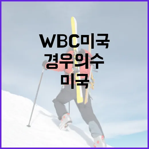 WBC 미국 경기에서 경우의 수를 이해하는 방법 - 요약
