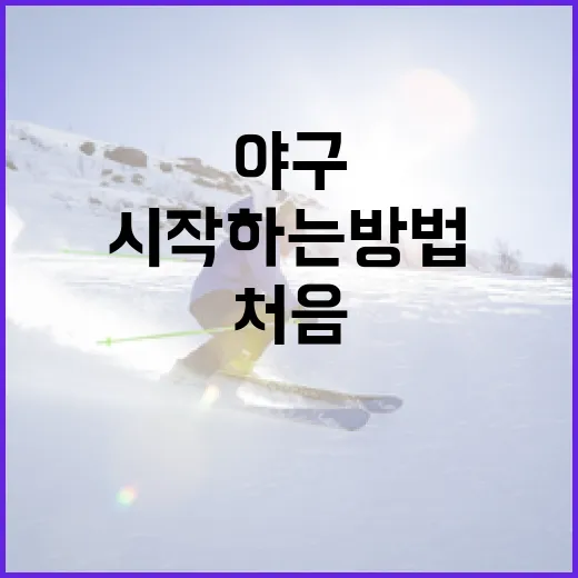 야구를 처음 시작하는 방법 - 요약