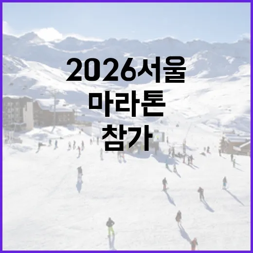 2026 서울마라톤에 성공적으로 참가하는 방법 - 요약