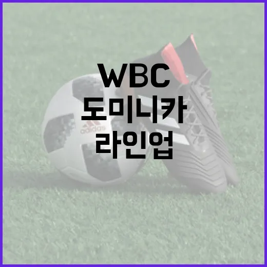 도미니카 WBC 라인업을 알아보고 준비하는 방법 - 요약