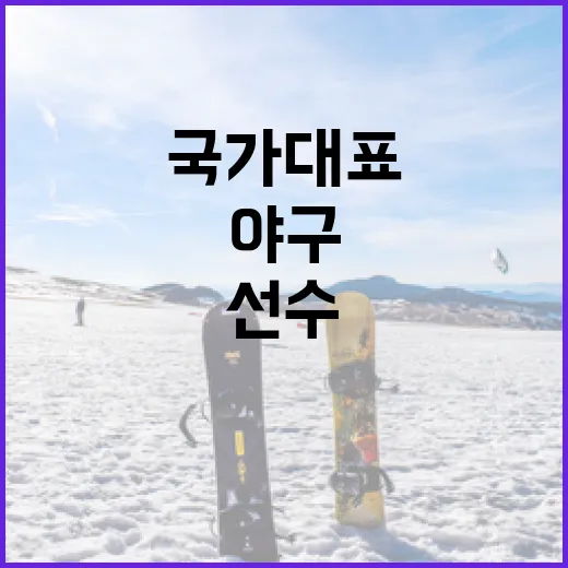 야구 국가대표 선수가 되는 방법 - 요약