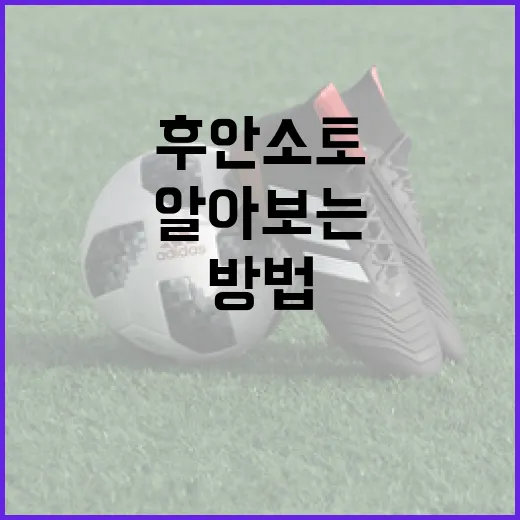 후안 소토 연봉을 알아보는 방법 - 요약