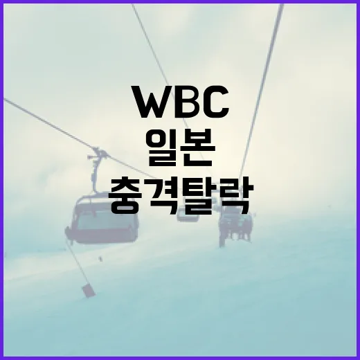 오타니와 일본 WBC 충격 탈락을 이해하는 방법 - 요약