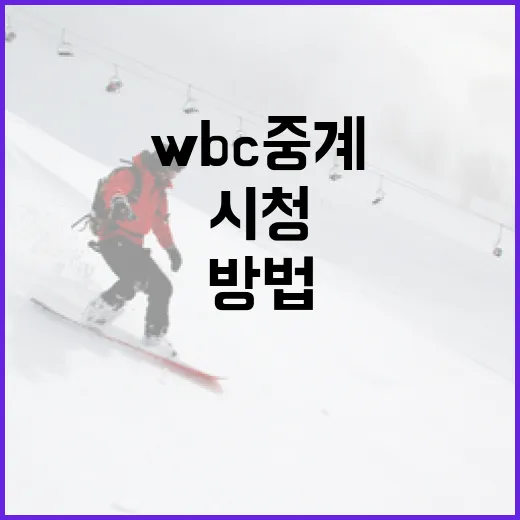 WBC 중계를 쉽게 시청하는 방법 - 요약