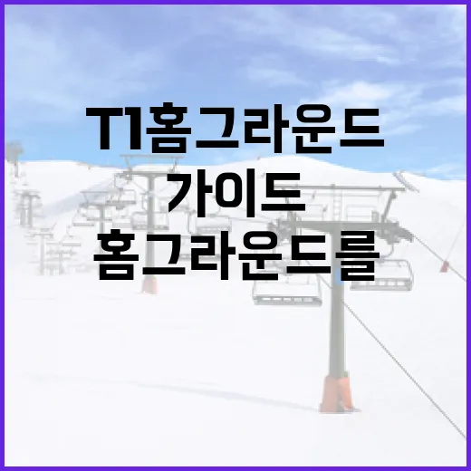 t1 홈그라운드를 즐기는 방법: 초보자를 위한 가이드 - 요약