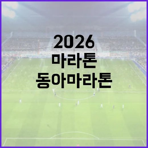 동아마라톤 2026 준비하는 방법 - 요약