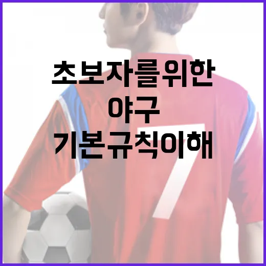 야구 초보자를 위한 경기의 기본 규칙 이해하기 - 요약