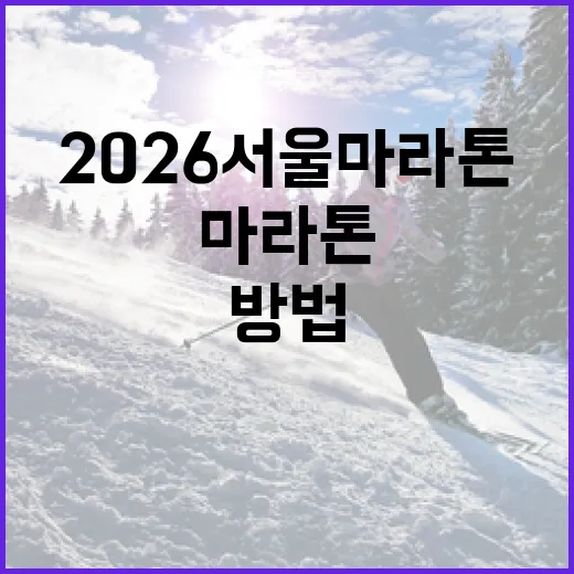 2026 서울마라톤 준비하는 방법 - 요약