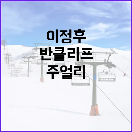 이정후 반클리프 주얼리를 선택하는 방법 - 요약