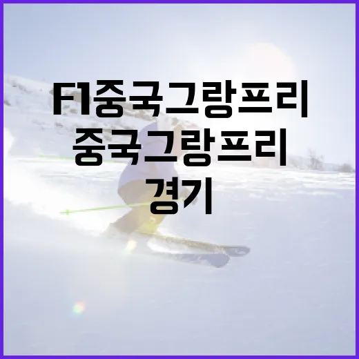 F1 중국 그랑프리에서 성공적으로 경기를 즐기는 방법 - 요약