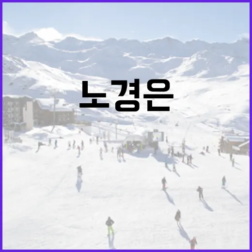 노경은 WBC MVP로 선정된 이유와 그의 활약상 - 요약