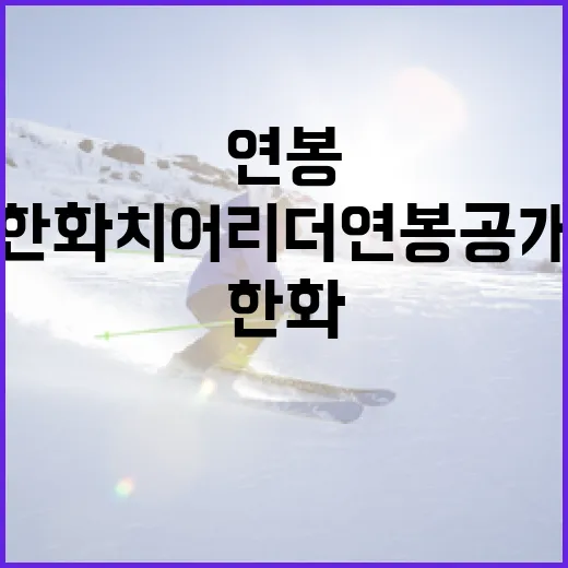 한화 치어리더 연봉 공개하는 방법 - 요약