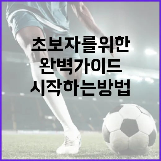 야구 초보자를 위한 완벽 가이드: 시작하는 방법 - 요약