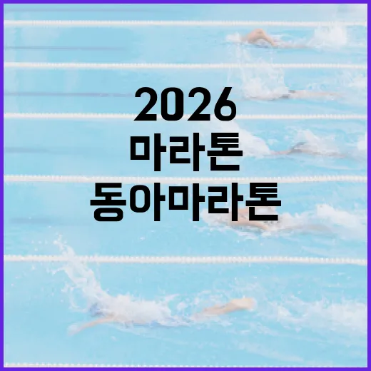 동아마라톤 2026 준비하는 방법 - 요약