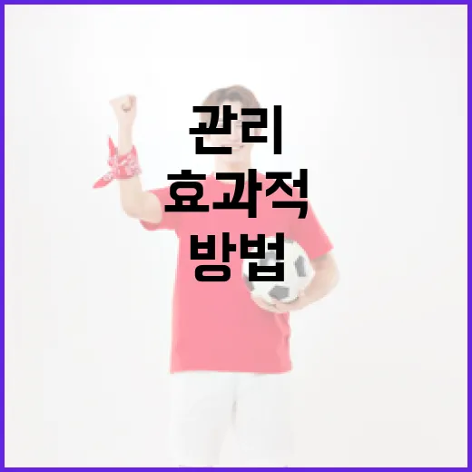 OGFC를 활용하여 효과적으로 건강을 관리하는 방법 - 요약