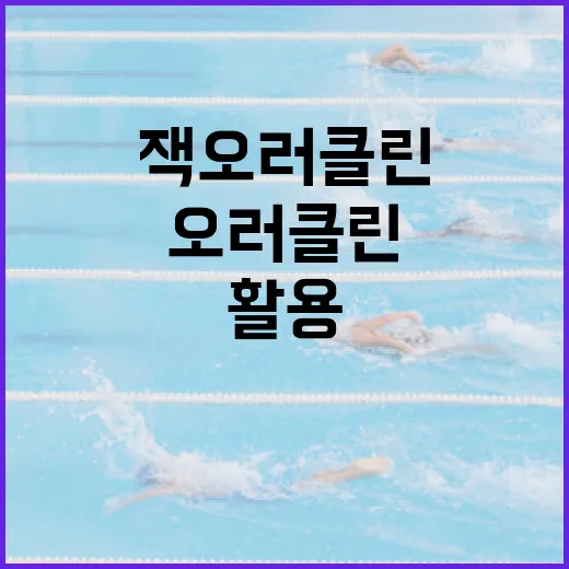 잭 오러클린을 이해하고 활용하는 방법 - 요약