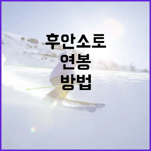 후안 소토의 연봉을 이해하는 방법 - 요약