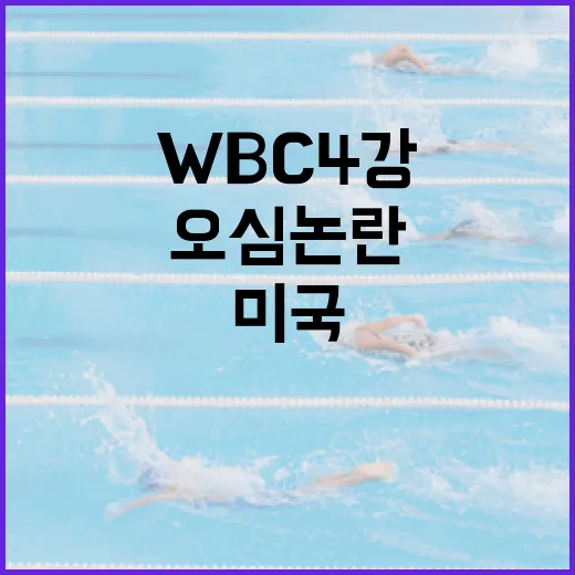 WBC 4강에서 미국과 도미니카의 오심 논란을 이해하는 방법 - 요약