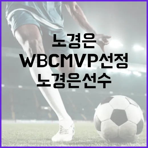 노경은 선수의 WBC MVP 선정 이유와 과정 알아보기 - 요약