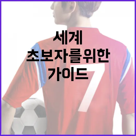 쇼트트랙 세계선수권을 즐기는 방법: 초보자를 위한 가이드 - 요약