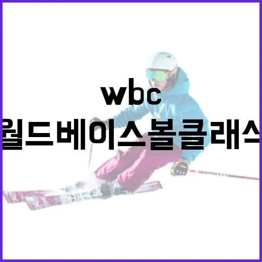 WBC의 모든 것: 월드 베이스볼 클래식 이해하기 - 요약