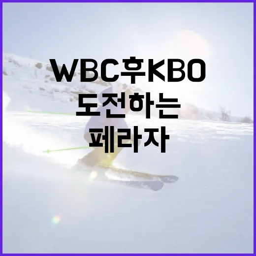 페라자가 WBC 후 KBO에 도전하는 방법 - 요약