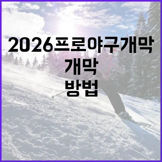 2026 프로야구 개막을 준비하는 방법 - 요약
