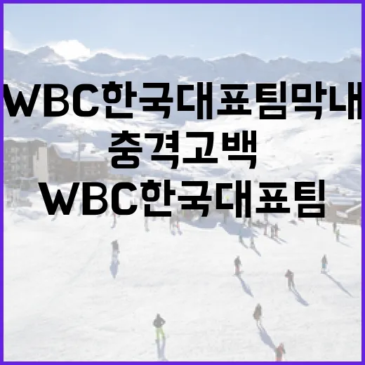 WBC 한국 대표팀 막내의 충격 고백을 이해하는 방법 - 요약