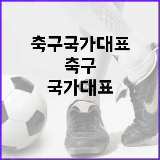 축구 국가대표가 되려면 이렇게 준비하세요 - 요약