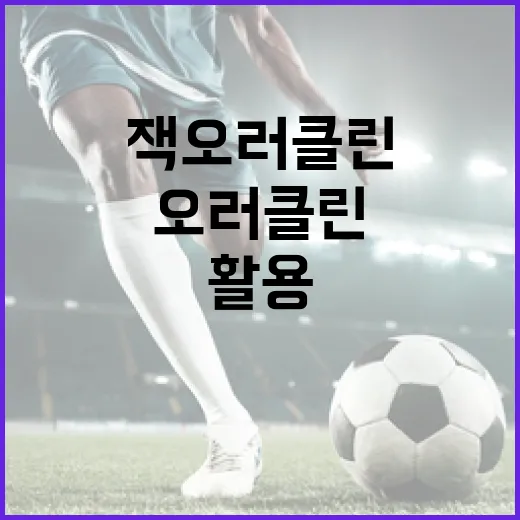 잭 오러클린을 이해하고 활용하는 방법 - 요약