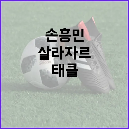 손흥민의 살라자르 태클 분노에 대처하는 방법 - 요약