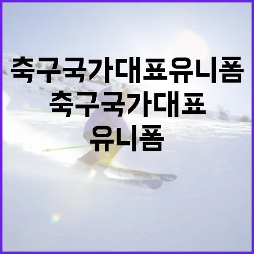 축구 국가대표 유니폼을 선택하는 방법 - 요약