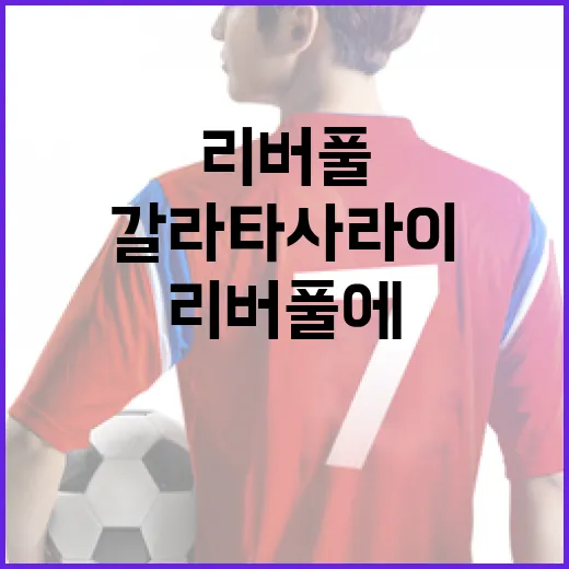 리버풀에서 갈라타사라이까지: 축구 팬을 위한 여행 가이드 - 요약