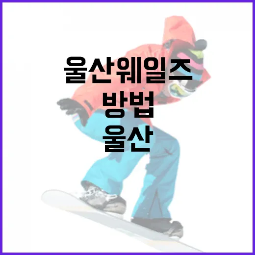 울산 웨일즈를 최대한 즐기는 방법 - 요약