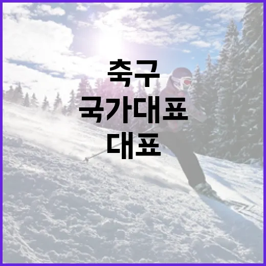 축구 국가대표 유니폼을 제대로 이해하는 방법 - 요약