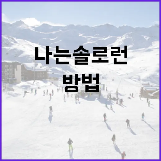 나는솔로런을 성공적으로 시작하는 방법 - 요약