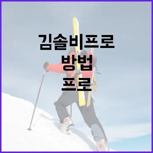 김솔비 프로처럼 성공하기 위한 방법 - 요약