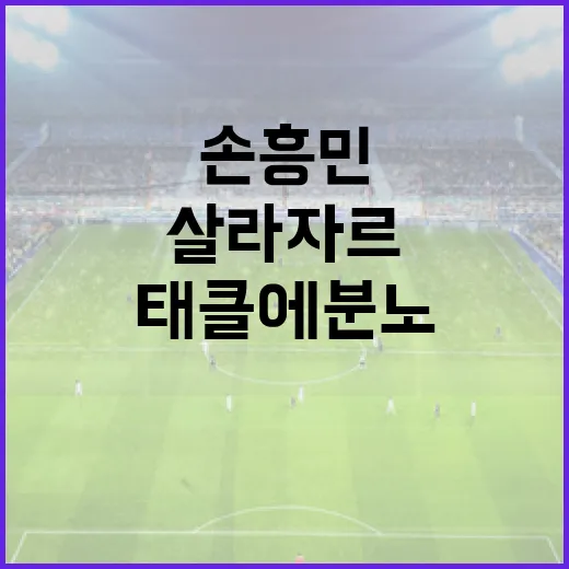 손흥민이 살라자르 태클에 분노한 이유와 이를 대처하는 방법 - 요약