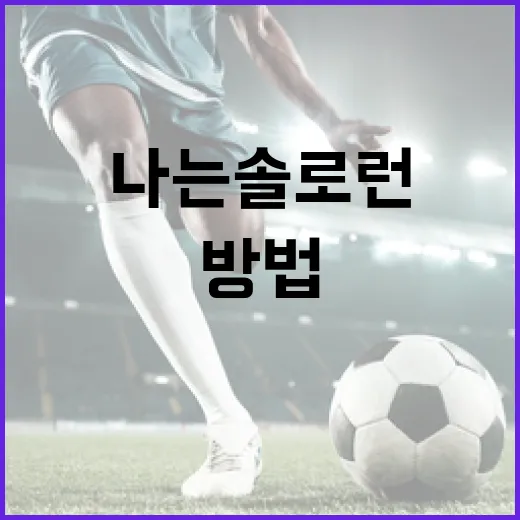 나는솔로런을 성공적으로 시작하는 방법 - 요약