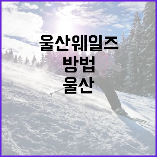 울산 웨일즈 1군을 알아보는 방법 - 요약